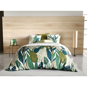 Parure Housse de Couette 3pcs  100% Coton 57 Fils Beleme