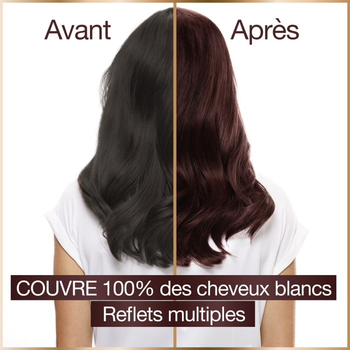 Garnier Good Coloration 4.52 Châtain Acajou Prune 120 g