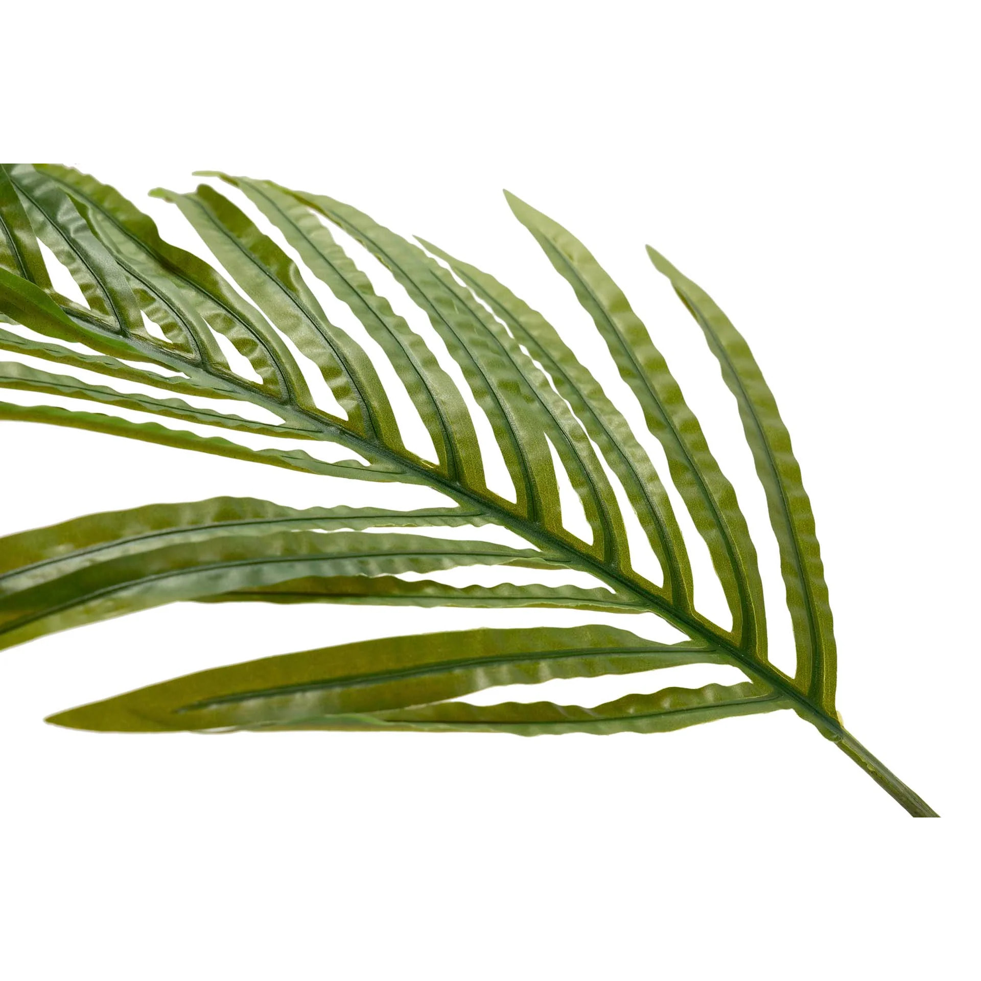 Planta Palmera Areca 80x80x140 Cm