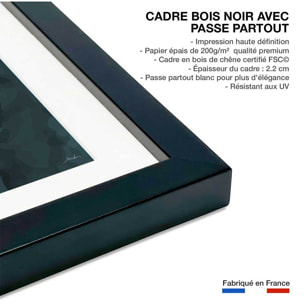 Affiche pierre labradorite Affiche + cadre en bois - Noir