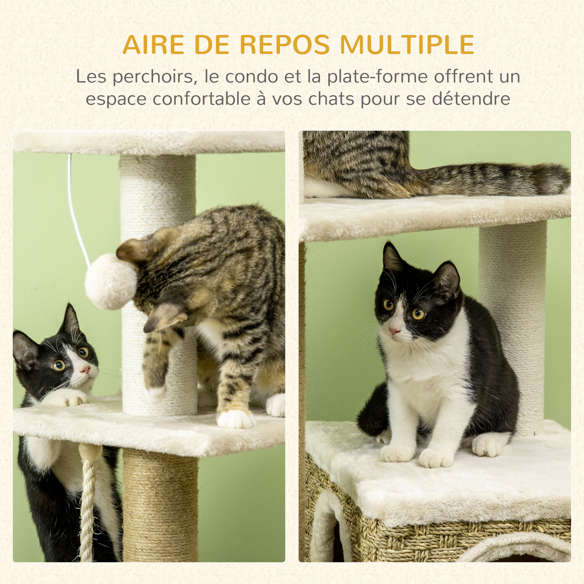 Arbre à chat style cosy chic griffoirs sisal naturel niche plateformes corde jeu boule peluche courte cordes d'algues tressées