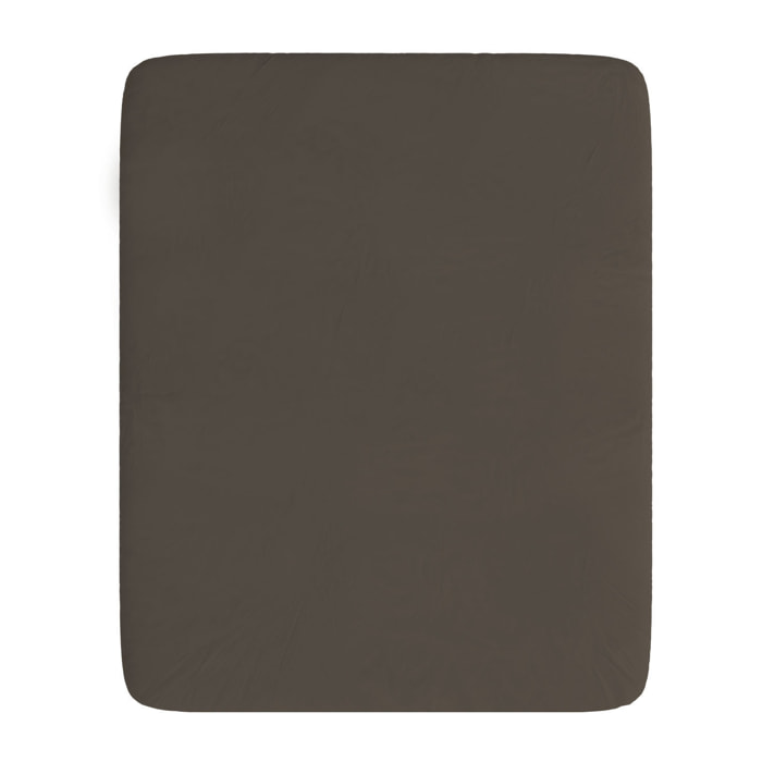 LENZUOLO SOTTO CON ANGOLI MAX COLOR, 100% Cotone, Made in Italy - MARRONE