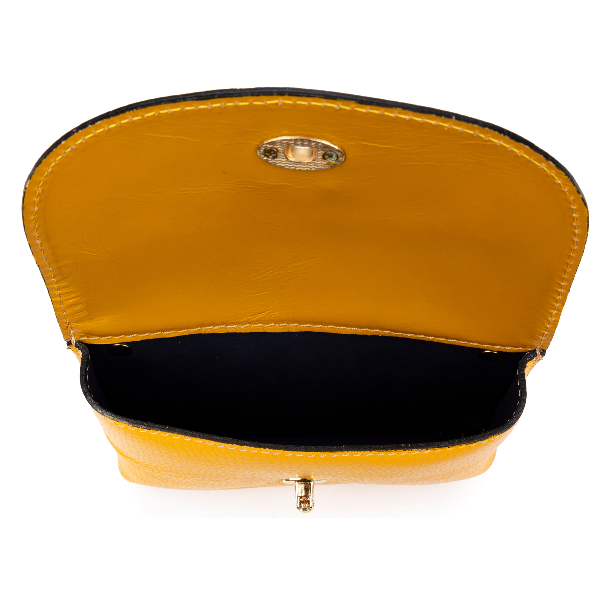 Aquilonia borsa a mano donna. Pelle autentica finitura Dollaro.