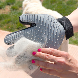 Pack Guanto per Pettinare e Massaggiare Animali Domestici e Guinzaglio Retrattile per Cani 6 in 1 InnovaGoods
