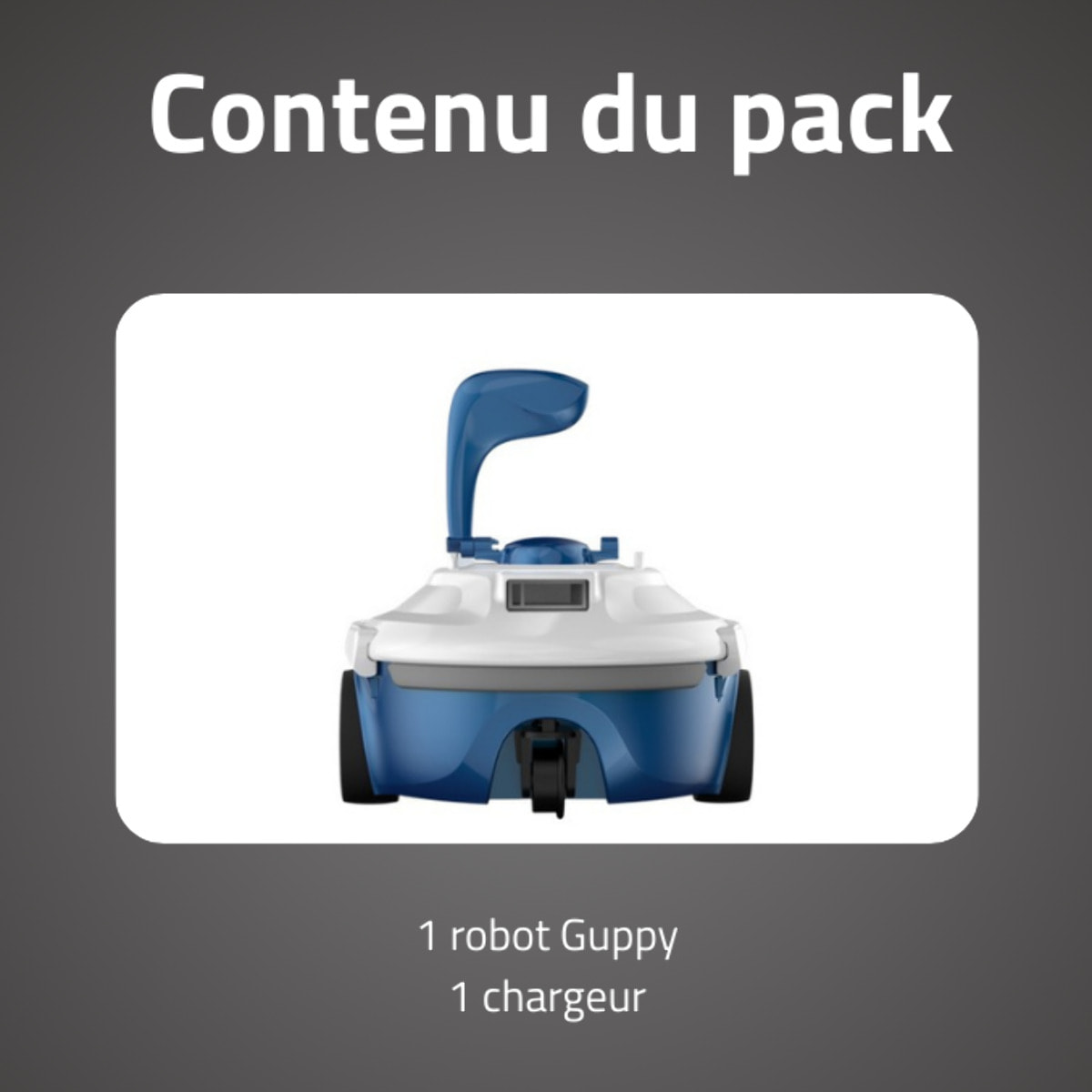 Bestway Robot piscine autonome Guppy bleu - nettoyage fond plat - 10m² max