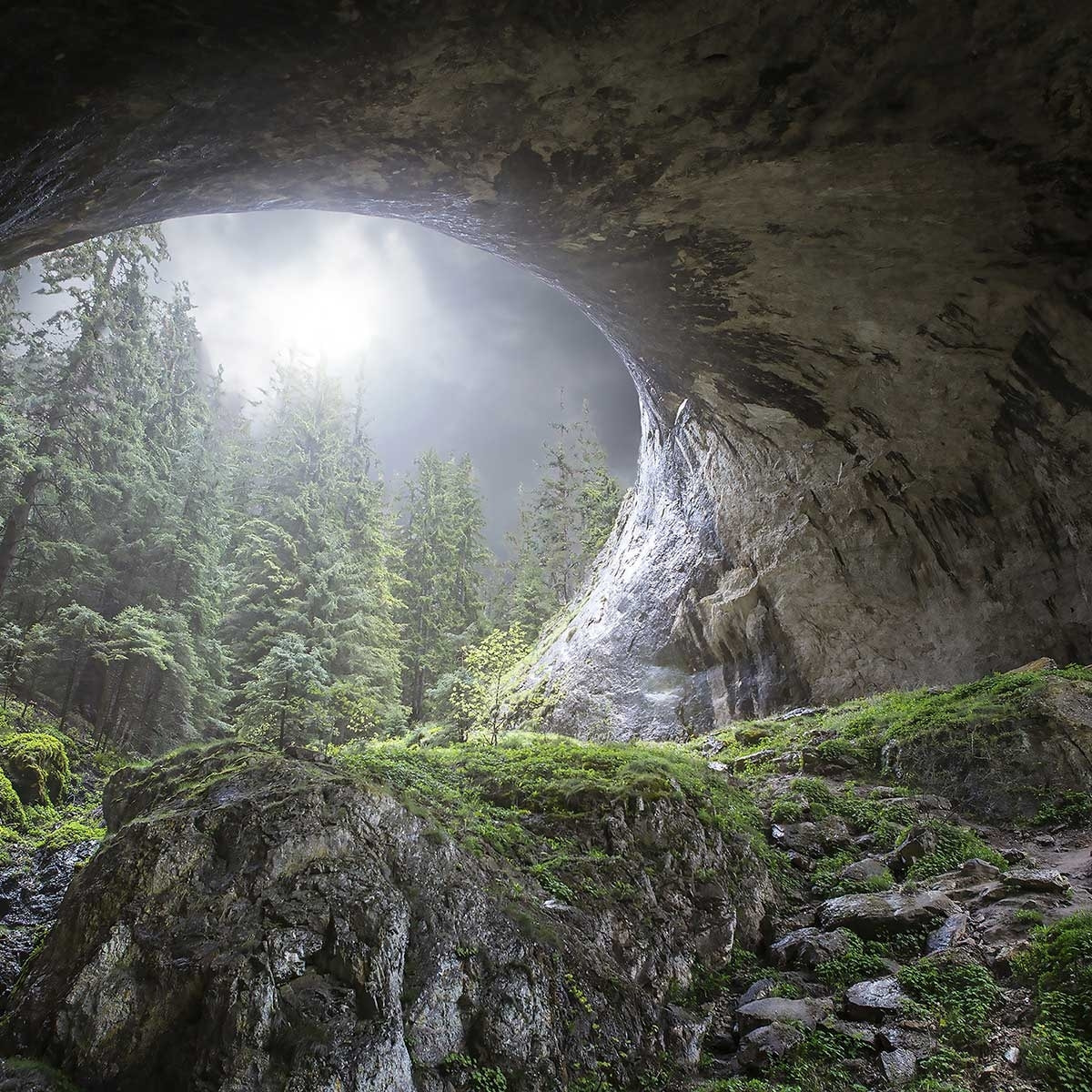 Tableau coup d'oeil au paradis Toile imprimée