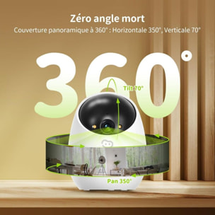 Caméra de surveillance EZVIZ D210 2K