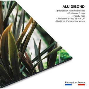 Tableau fleur de yucca et forêt tropicale Tableau alu Dibond