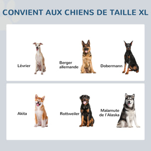 Gamelle double chien chat Porte-gamelles surélevé dim. 60L x 30l x 41H cm 2 gamelles poignées coffre MDF gris