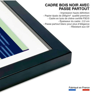 Affiche King- Kong Affiche sous cadre noir
