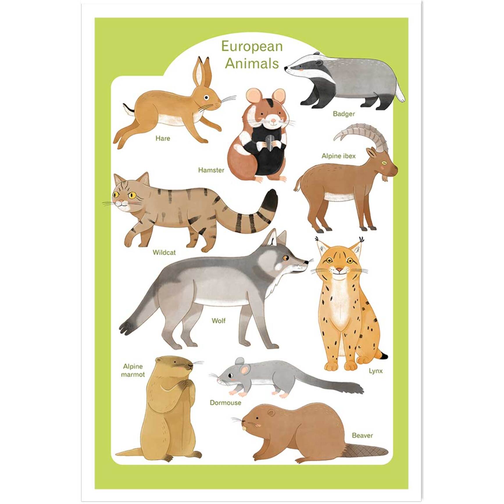 Affiche enfant animaux d'europe  Affiche seule
