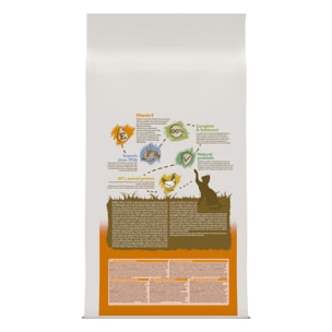 CAT CHOW Adult Poulet 10KG