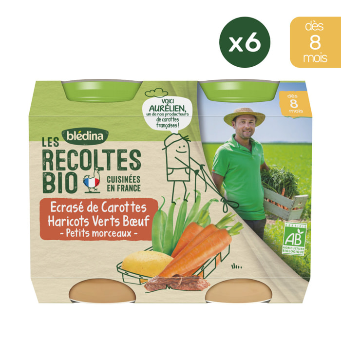 6x2 Petits Pots Ecrasé de Carottes, Haricots verts et Bœuf - Bledina Les Recoltes Bio - Dès 8 mois