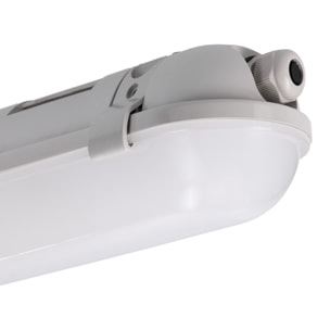Forlight Plafon Ip65 Propper 1500Mm Led 49,4W 4000K Gris 4851Lm