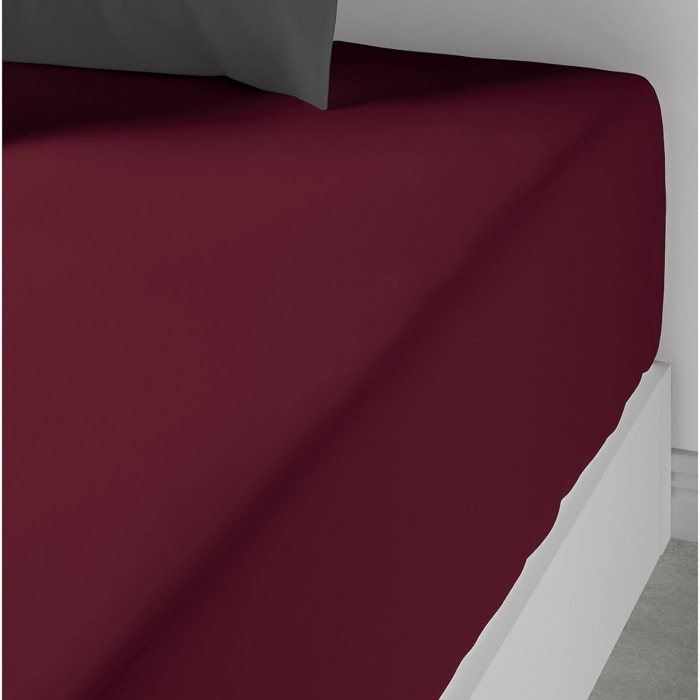 Drap Housse Coton 57fils Uni - Bonnet 35cm Grenat