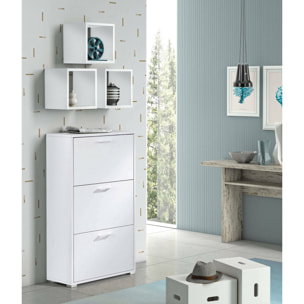 Scarpiera Axinite, Mobile multiuso da ingresso con 3 ante a ribalta, Armadietto portascarpe a doppia profondità, 100% Made in Italy, 67x28h112 cm, Bianco