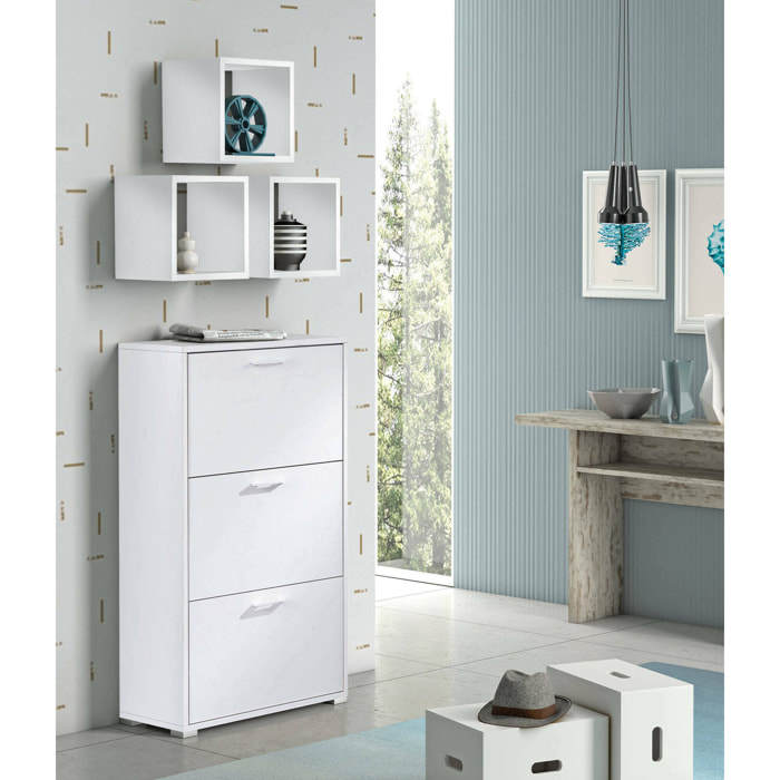 Scarpiera Axinite, Mobile multiuso da ingresso con 3 ante a ribalta, Armadietto portascarpe a doppia profondità, 100% Made in Italy, 67x28h112 cm, Bianco