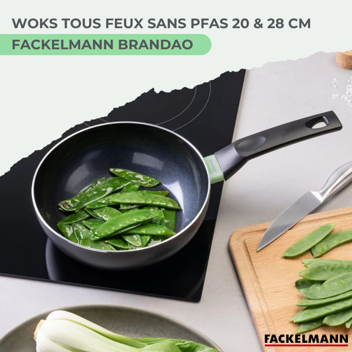 Ensemble de 2 woks de 20 et 28 cm Fackelmann Brandao