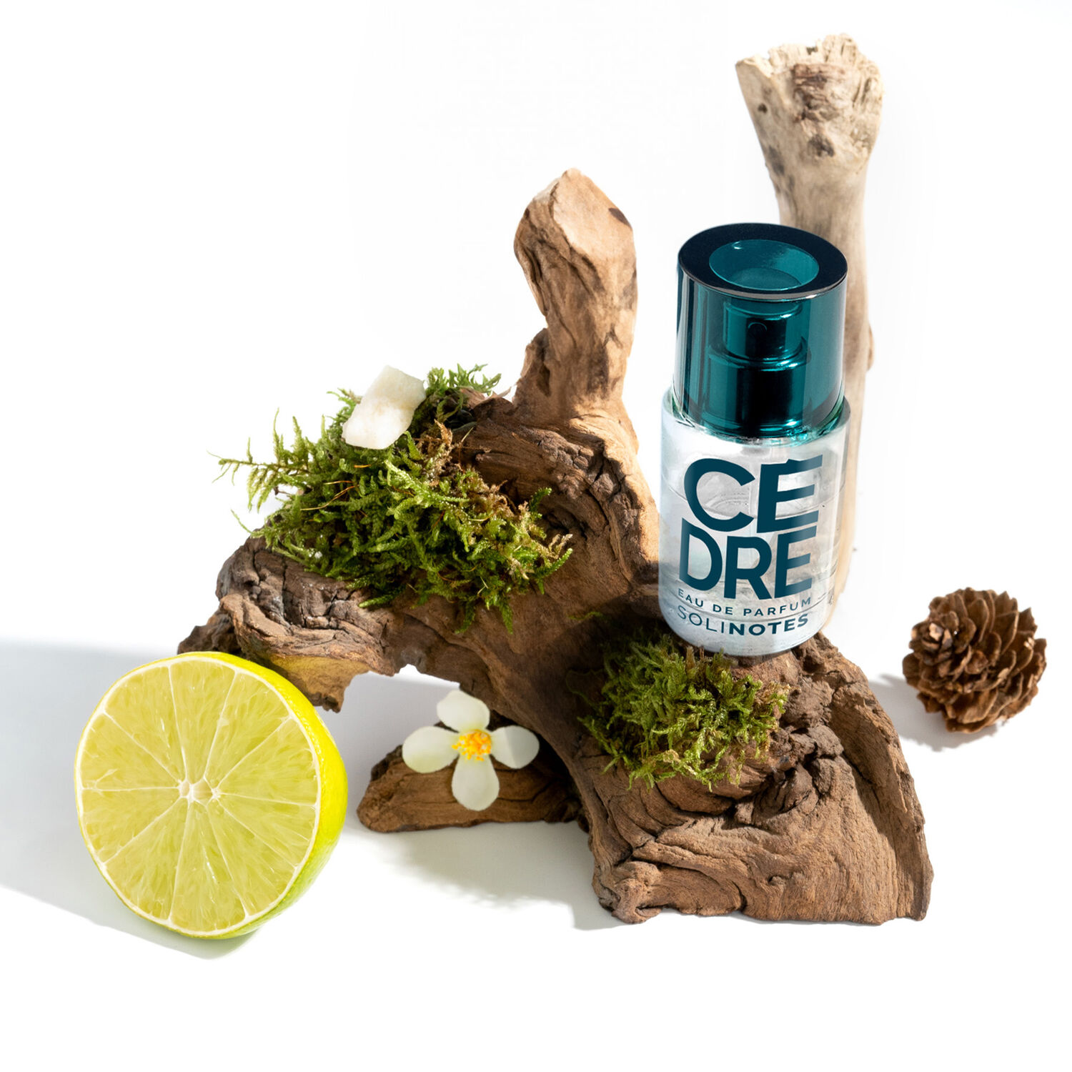 Cèdre - Eau de Parfum