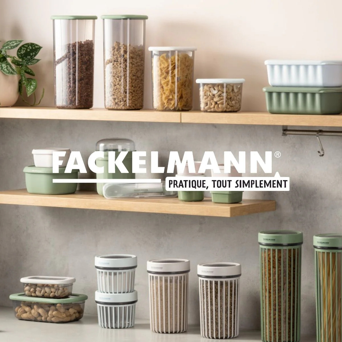 Lot de 3 Boîtes à Provisions Fackelmann Storage