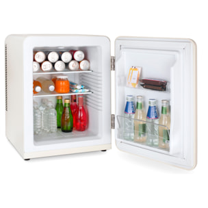 Minibar Vintage WEISS8 31L Beige