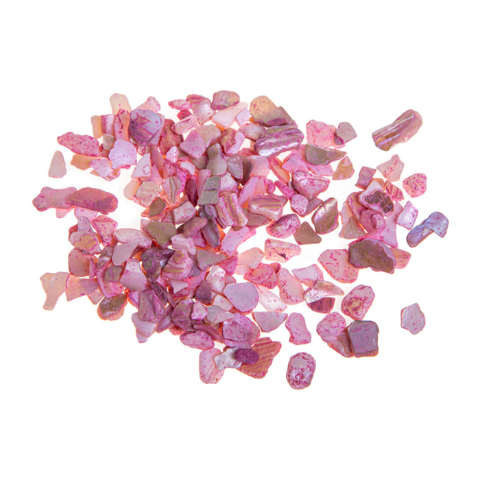 Giara Conchiglie Perl 550 Gr 4 - Pezzi 6 - Pezzi 8 - 6,5X14X6,5cm - Colore: Rosa - Bianchi Dino