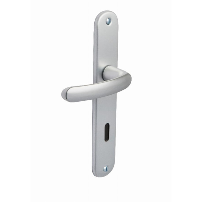 Ensemble de porte Budget BEZAULT entraxe 195 mm Clé L - Argent - 204856