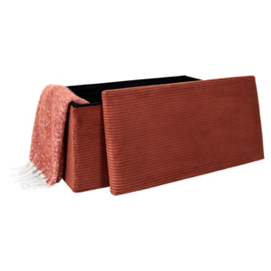 Coffre Banc Pliable Cotele Scott Terra