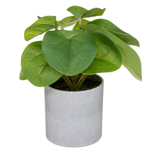 Plante artificielle pot mélamine H18cm
