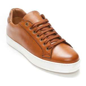 Sneaker British Passport marrone tan