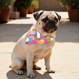 Pack de 2 bandanas pour animaux Dundee