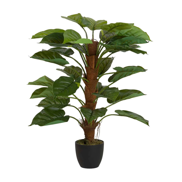 Planta Artificial Rhadhidophora Aureum Con Maceta 50x50x73 Cm