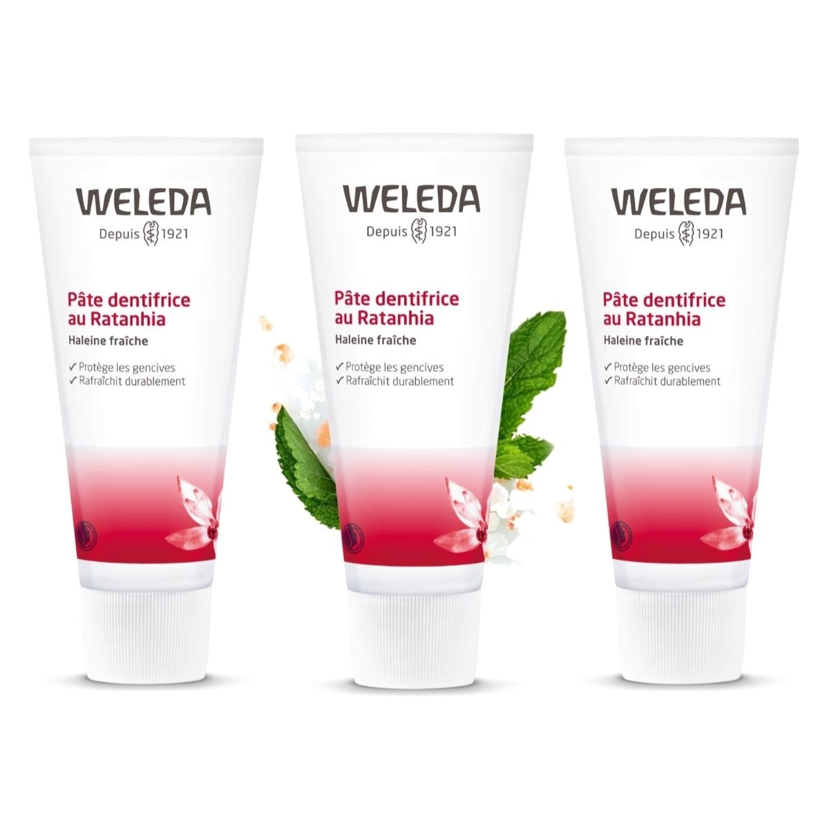 WELEDA - Trio Pâte dentifrice au Ratanhia - Protège et renforce les gencives - Vegan* - Certifié Natrue** -Tube 75 ml  x 3