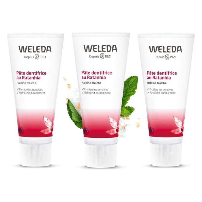 WELEDA - Trio Pâte dentifrice au Ratanhia - Protège et renforce les gencives - Vegan* - Certifié Natrue** -Tube 75 ml  x 3