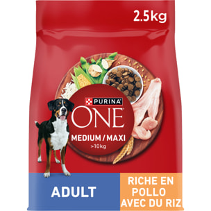 PURINA ONE CHIEN MEDIUM MAXI Poulet 2,5kg - Lot de 4