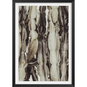 Poster cactus mood Affiche + cadre en bois - Noir