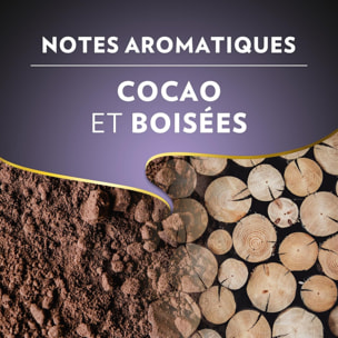 Moulu Espresso Barista Intenso 2x250g