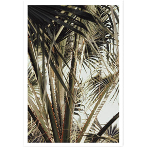 Poster cœur de palmier Affiche seule
