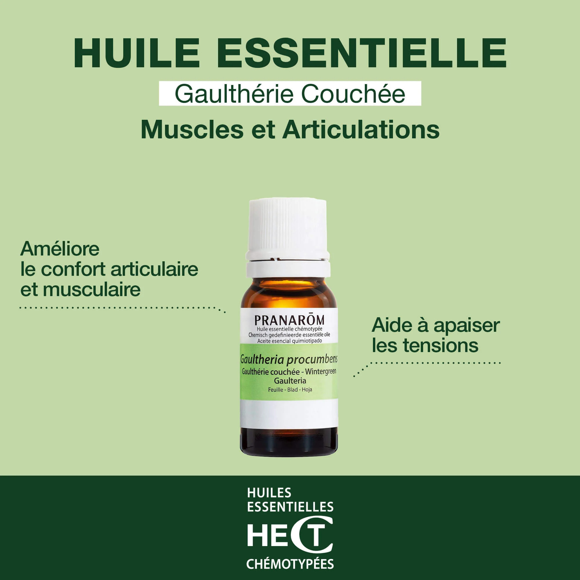 Pranarom - Huile Essentielle de Gaulthérie couchée - 10 ml