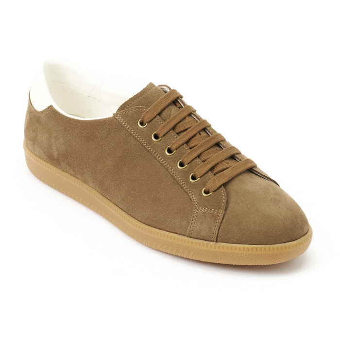 Sneaker British Passport Marrone