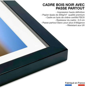 Affiche animaux brothers for the life Affiche + cadre en bois - Noir