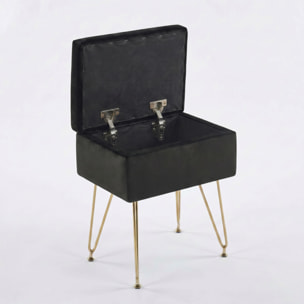 Panca Contenitore in Effetto Velluto con Seduta Imbottita e Vano Portaoggetti, Design Moderno con Gambe in Acciaio per Ingresso, Camera da Letto e Soggiorno
