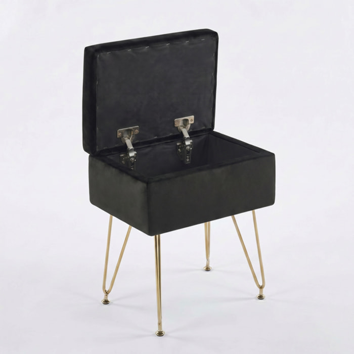 Panca Contenitore in Effetto Velluto con Seduta Imbottita e Vano Portaoggetti, Design Moderno con Gambe in Acciaio per Ingresso, Camera da Letto e Soggiorno