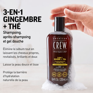 3-en-1 Gingembre Thé - Shampooing 3en1 Revitalisant et Hydratant 450 ml