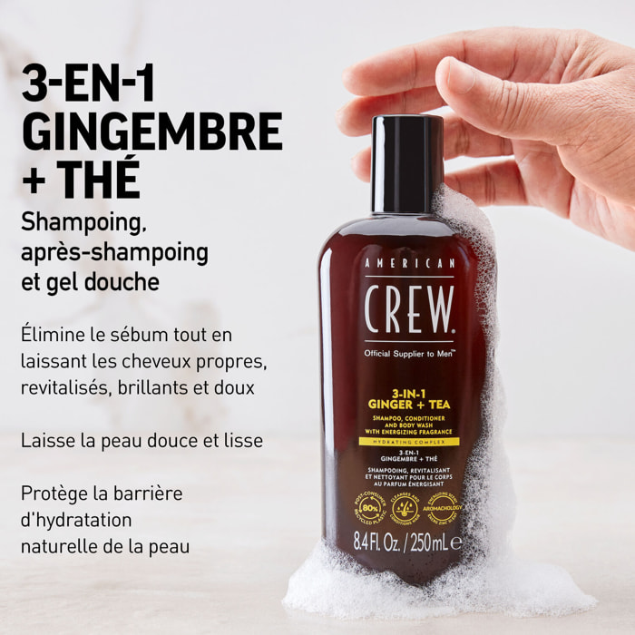 3-en-1 Gingembre Thé - Shampooing 3en1 Revitalisant et Hydratant 450 ml
