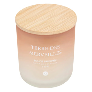 Bougie parfumée Sana 255g pot verre Terre des Merveilles
