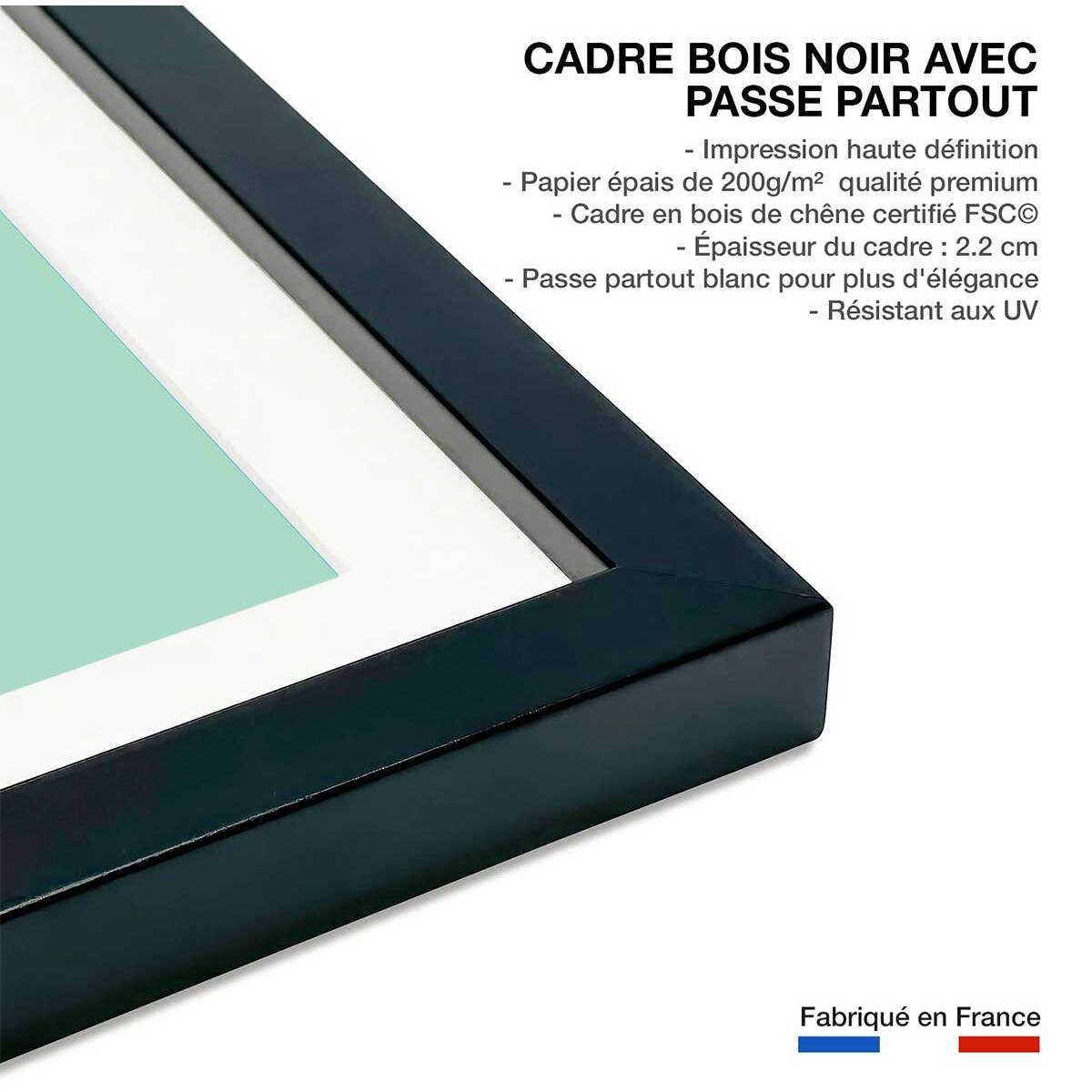 Affiche  loutre en baignade Affiche sous cadre noir