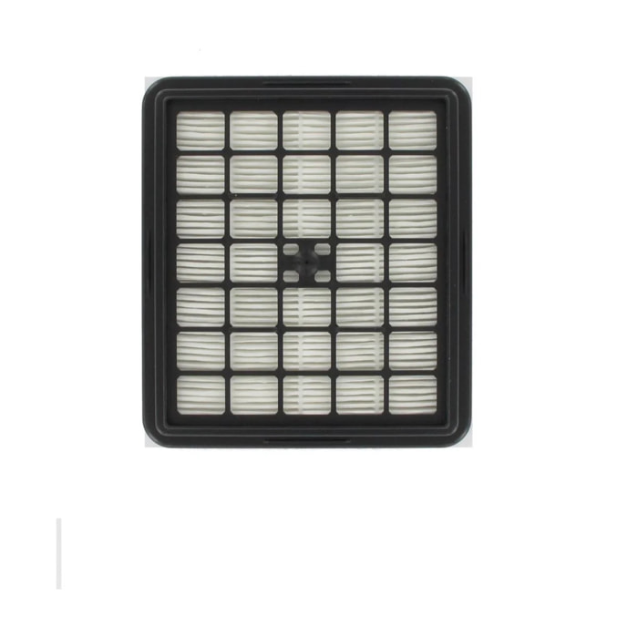 Filtre hepa pour aspirateur Hoover TopFilter