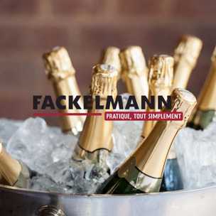 Lot de 2 pochettes cadeau pour bouteille de vin ou de champagne Fackelmann