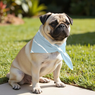 Pack de 2 bandanas pour animaux Vera